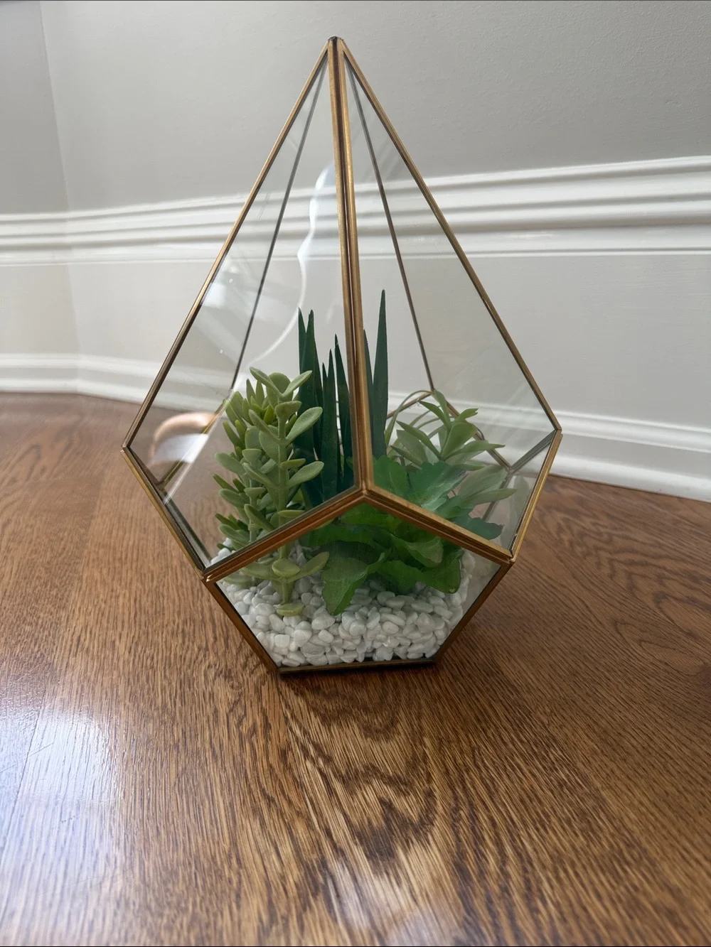 Gold Glass Geometric Terrarium with Green Succulent Arrangement